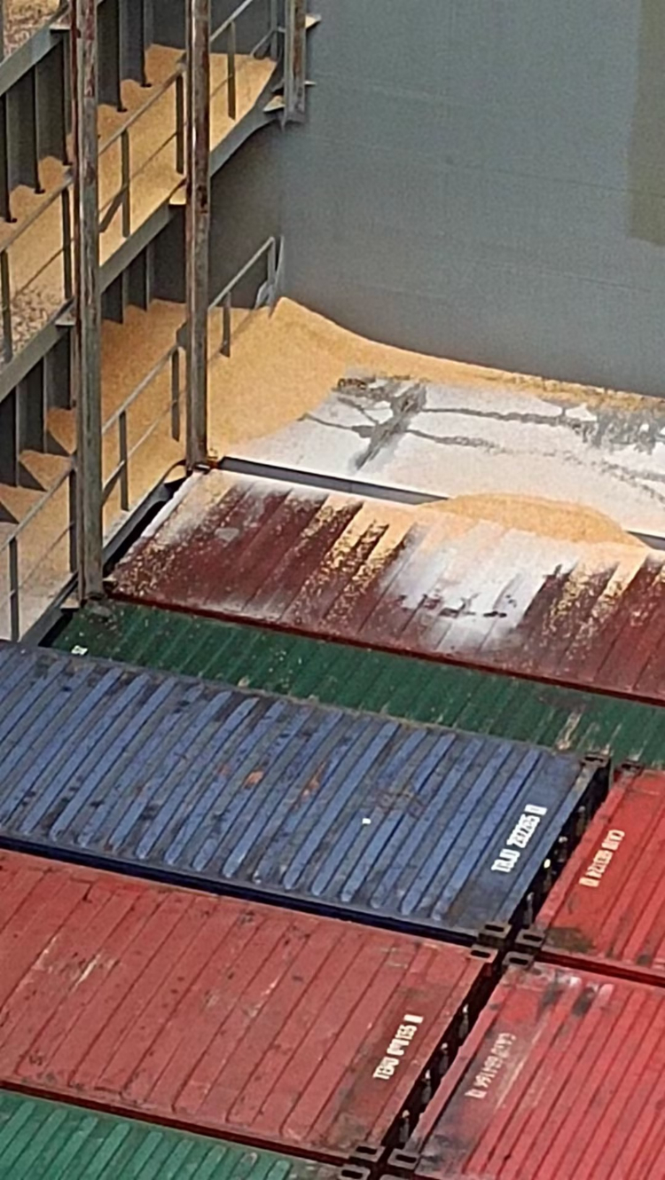南沙港8吨玉米拍卖公告