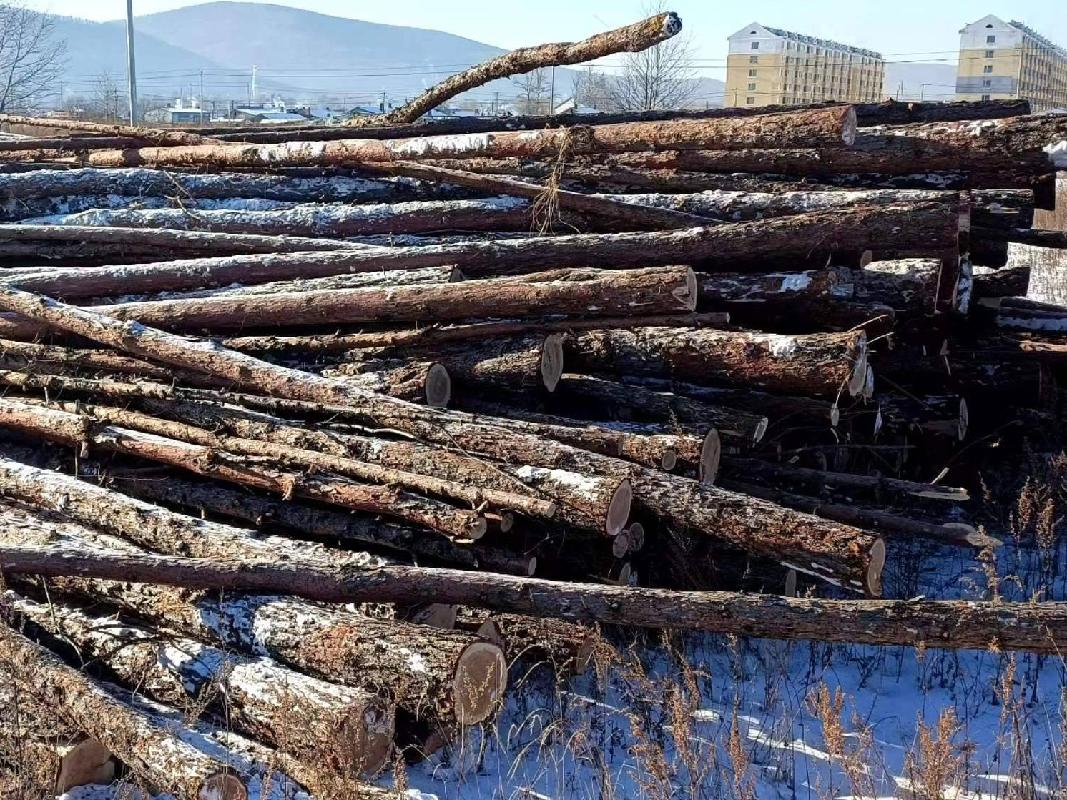 吉文森工公司2024年约6988吨单价380元吨 总价2655440元 木材项目出售招标