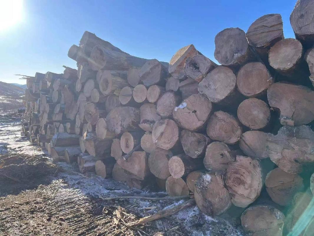 标1 约474吨火烧木规格材约90吨 非规格材约384吨商品木材毕拉河林业公司出售招标