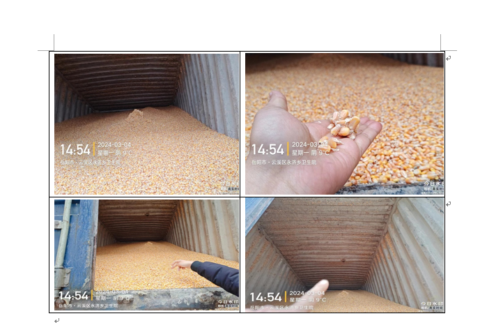 13.599吨玉米拍卖公告
