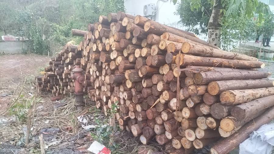 一盟拍卖：四川泸州废旧木桩一批网络拍卖公告