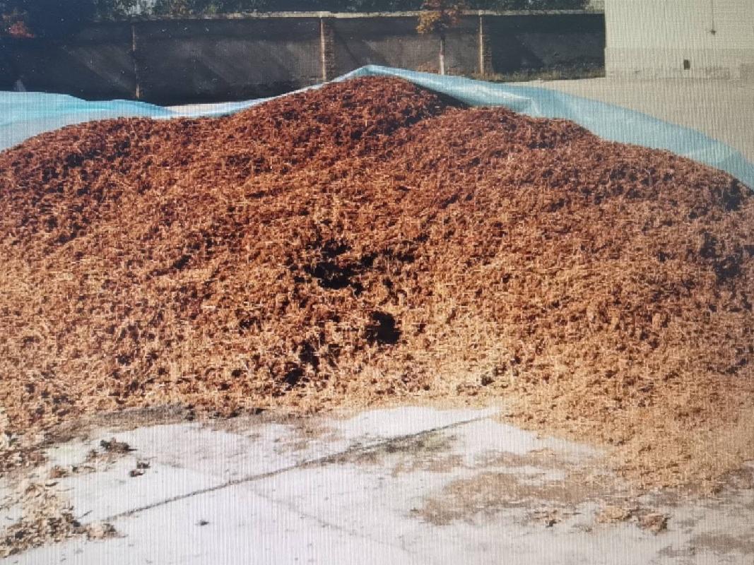 一批罚没野生甘草籽物种为乌拉尔甘草约为6.7吨对外出售招标