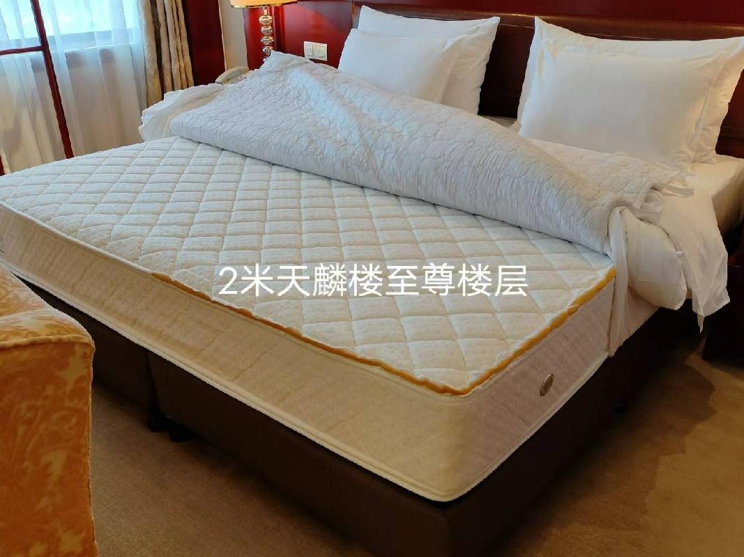 一批报废床具资产GR2024HN1000389出售招标