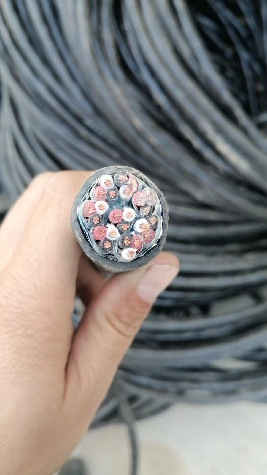 北纬拍卖：废旧铜芯电缆一批网络拍卖公告