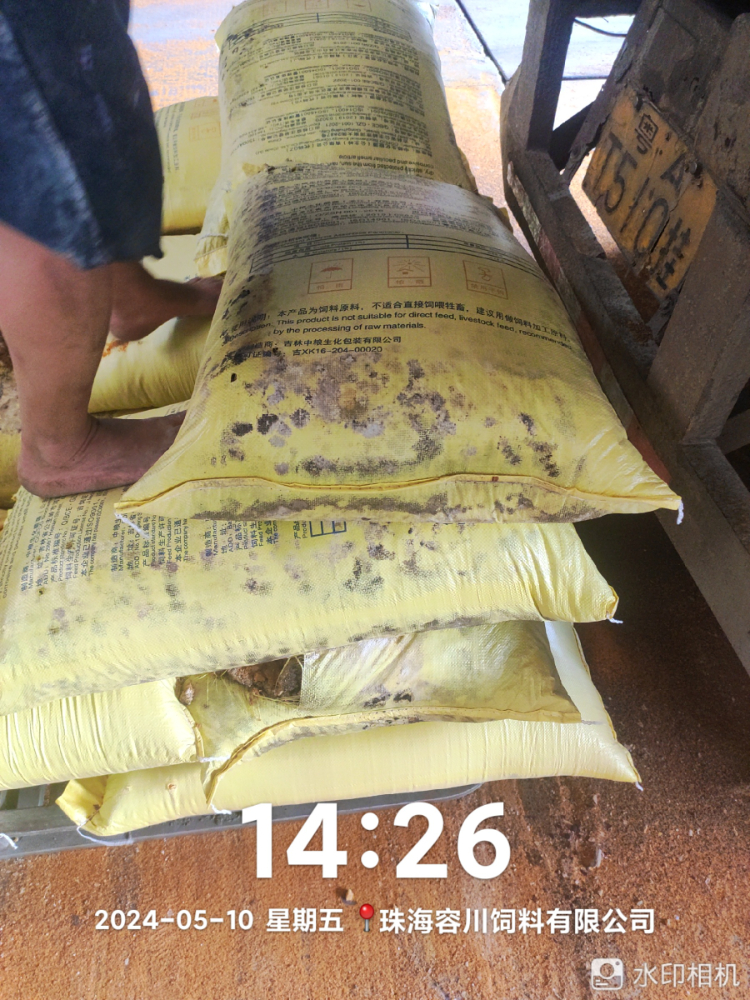 4.55吨水湿玉米蛋白粉拍卖公告