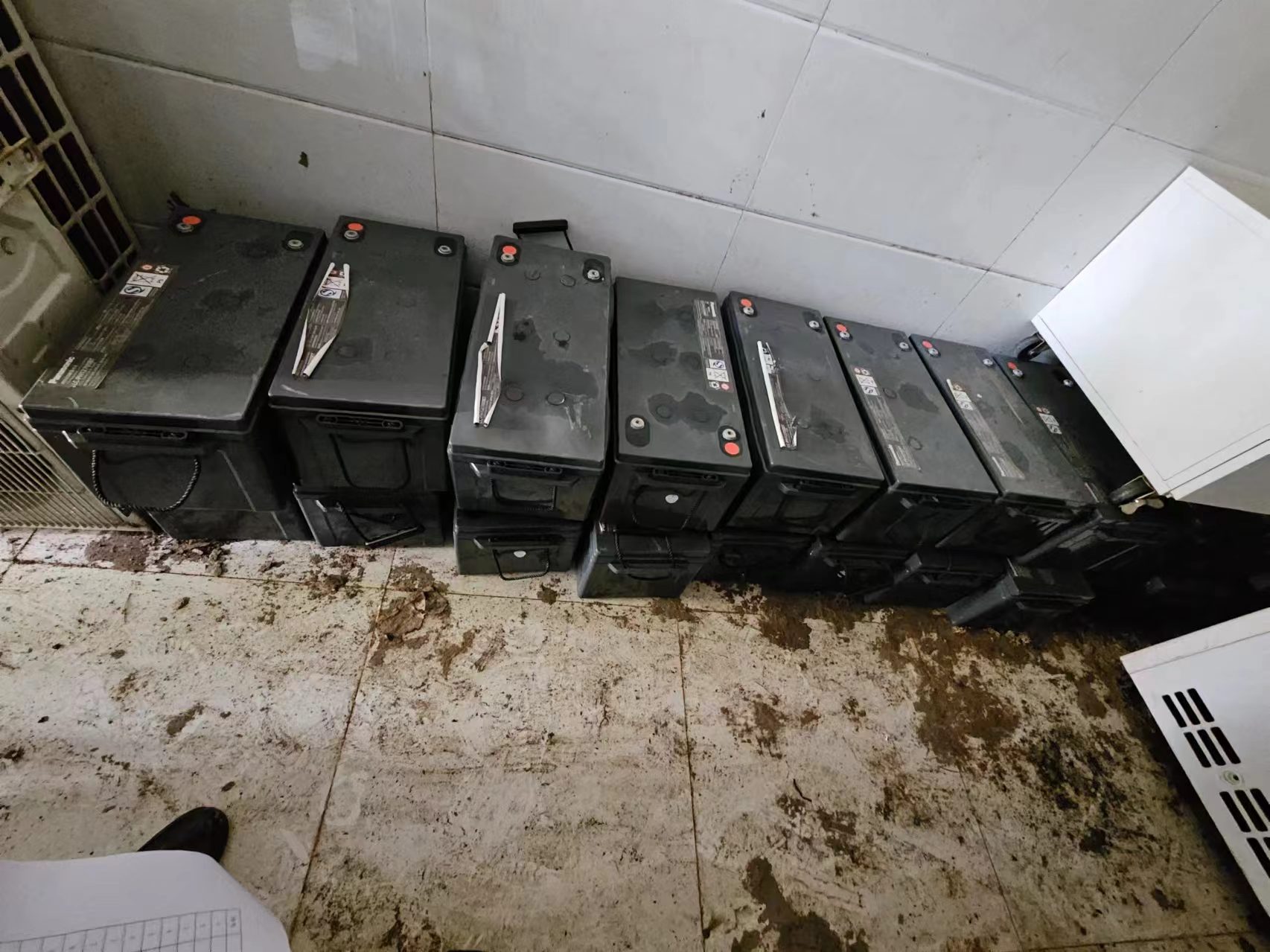 武汉植物园一批报废UPS电池网络公开拍卖