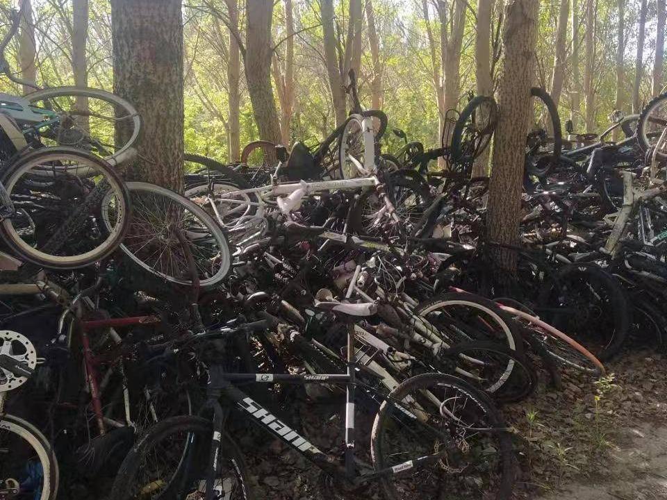 东北石油大学一批无主废旧自行车出售招标