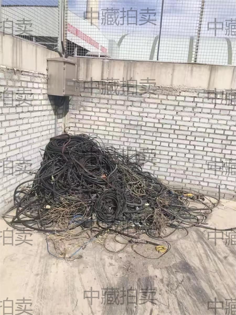 废旧铜芯电缆 钢丝绳 废抹灰钢丝网 废电器 废皮带拉货权网络拍卖公告