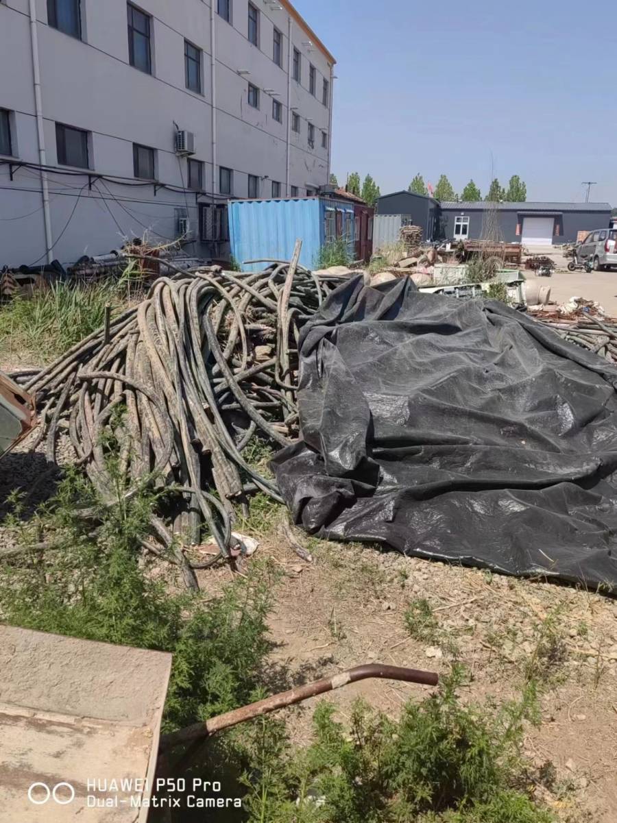 沧州市精神病医院废旧电缆及配电箱一批网络拍卖公告